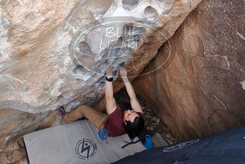 Bouldering in Hueco Tanks on 03/06/2020 with Blue Lizard Climbing and Yoga

Filename: SRM_20200306_1355280.jpg
Aperture: f/4.5
Shutter Speed: 1/250
Body: Canon EOS-1D Mark II
Lens: Canon EF 16-35mm f/2.8 L