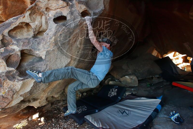 Bouldering in Hueco Tanks on 03/06/2020 with Blue Lizard Climbing and Yoga

Filename: SRM_20200306_1815530.jpg
Aperture: f/7.1
Shutter Speed: 1/250
Body: Canon EOS-1D Mark II
Lens: Canon EF 16-35mm f/2.8 L