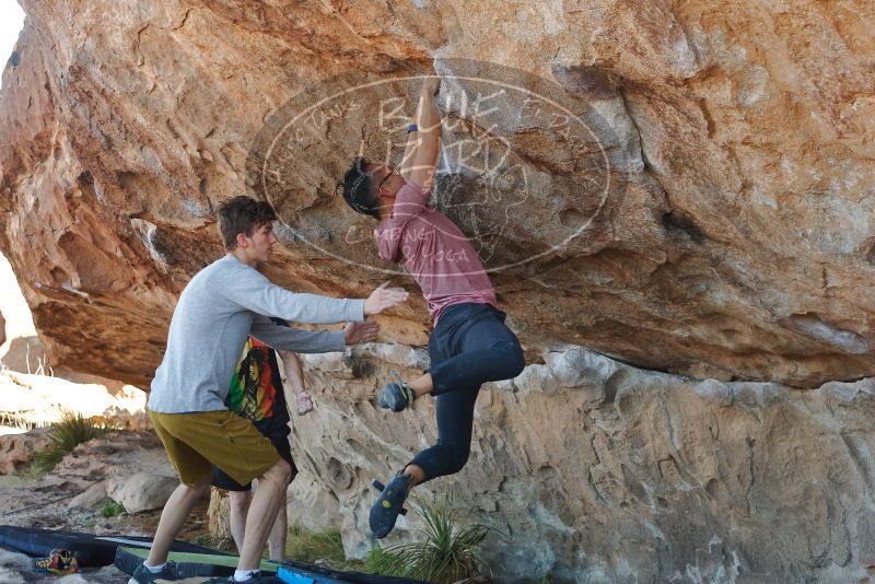 Bouldering in Hueco Tanks on 03/16/2020 with Blue Lizard Climbing and Yoga

Filename: SRM_20200316_1023152.jpg
Aperture: f/3.5
Shutter Speed: 1/500
Body: Canon EOS-1D Mark II
Lens: Canon EF 50mm f/1.8 II