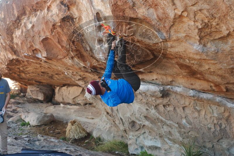 Bouldering in Hueco Tanks on 03/16/2020 with Blue Lizard Climbing and Yoga

Filename: SRM_20200316_1029231.jpg
Aperture: f/3.5
Shutter Speed: 1/500
Body: Canon EOS-1D Mark II
Lens: Canon EF 50mm f/1.8 II