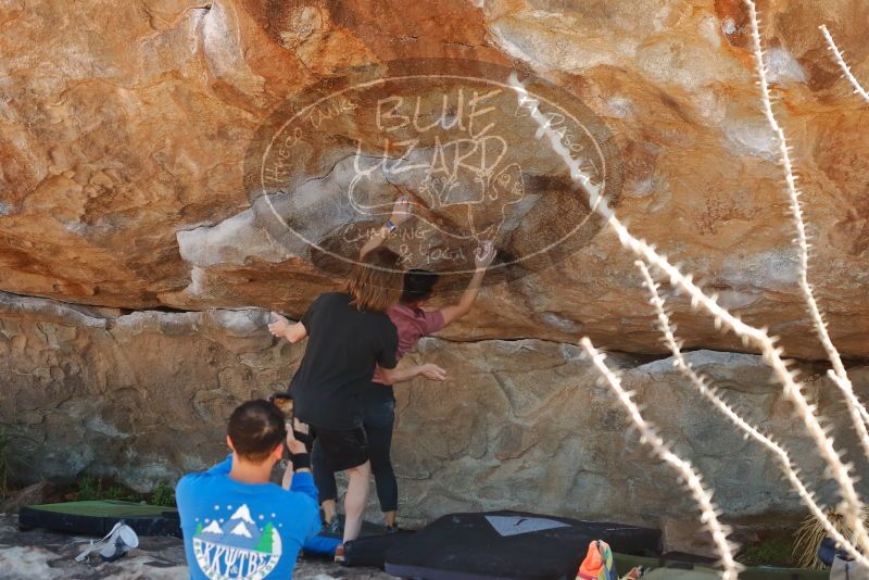 Bouldering in Hueco Tanks on 03/16/2020 with Blue Lizard Climbing and Yoga

Filename: SRM_20200316_1127590.jpg
Aperture: f/5.0
Shutter Speed: 1/500
Body: Canon EOS-1D Mark II
Lens: Canon EF 50mm f/1.8 II