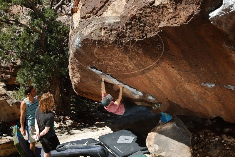 Bouldering in Hueco Tanks on 03/16/2020 with Blue Lizard Climbing and Yoga

Filename: SRM_20200316_1243070.jpg
Aperture: f/8.0
Shutter Speed: 1/250
Body: Canon EOS-1D Mark II
Lens: Canon EF 16-35mm f/2.8 L