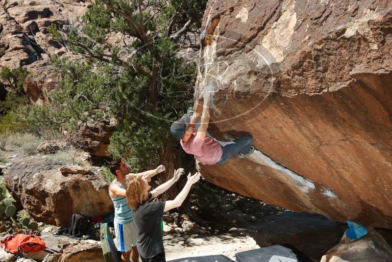 Bouldering in Hueco Tanks on 03/16/2020 with Blue Lizard Climbing and Yoga

Filename: SRM_20200316_1243230.jpg
Aperture: f/8.0
Shutter Speed: 1/250
Body: Canon EOS-1D Mark II
Lens: Canon EF 16-35mm f/2.8 L