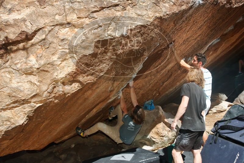 Bouldering in Hueco Tanks on 03/16/2020 with Blue Lizard Climbing and Yoga

Filename: SRM_20200316_1248370.jpg
Aperture: f/8.0
Shutter Speed: 1/250
Body: Canon EOS-1D Mark II
Lens: Canon EF 16-35mm f/2.8 L