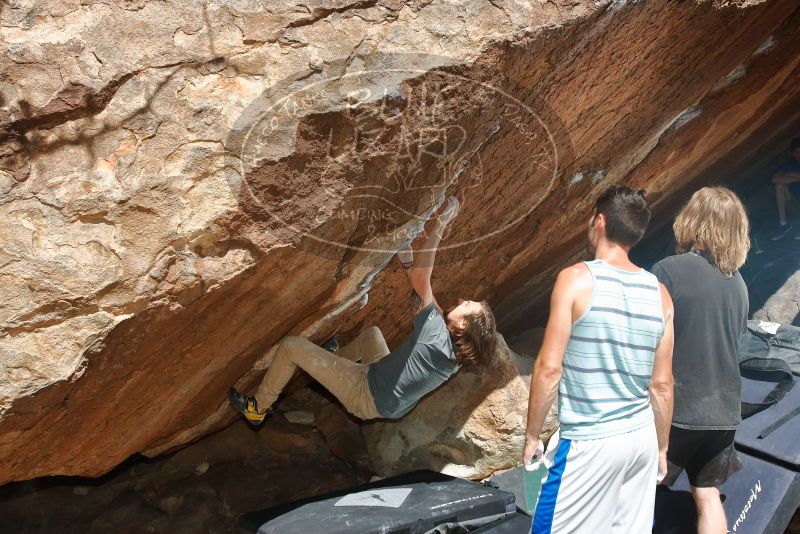 Bouldering in Hueco Tanks on 03/16/2020 with Blue Lizard Climbing and Yoga

Filename: SRM_20200316_1249530.jpg
Aperture: f/8.0
Shutter Speed: 1/250
Body: Canon EOS-1D Mark II
Lens: Canon EF 16-35mm f/2.8 L