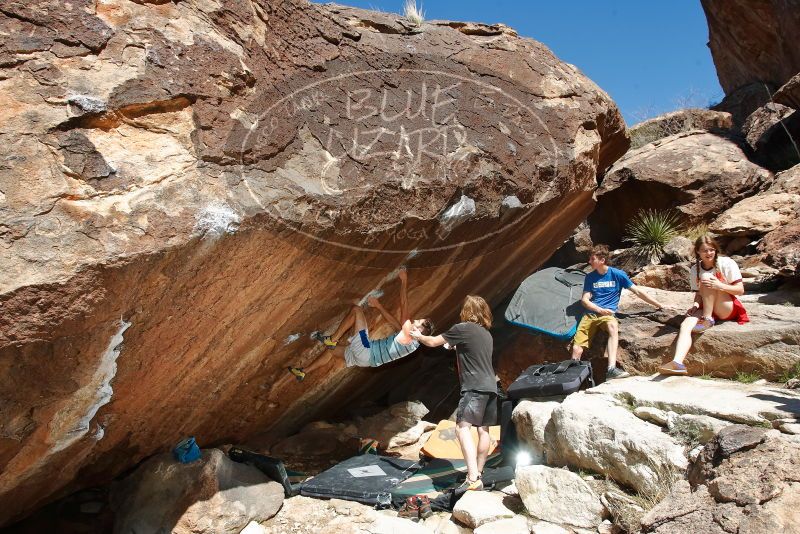 Bouldering in Hueco Tanks on 03/16/2020 with Blue Lizard Climbing and Yoga

Filename: SRM_20200316_1255330.jpg
Aperture: f/8.0
Shutter Speed: 1/250
Body: Canon EOS-1D Mark II
Lens: Canon EF 16-35mm f/2.8 L