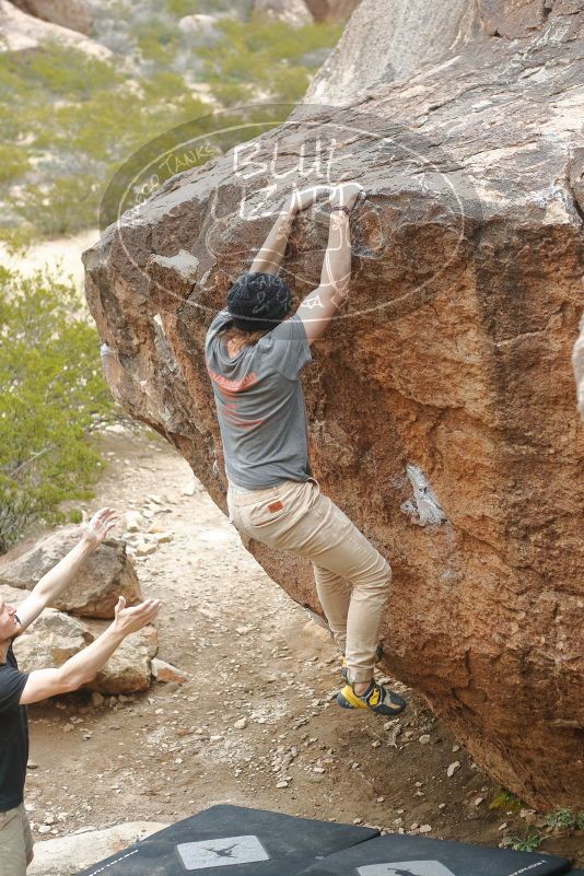 Bouldering in Hueco Tanks on 03/15/2020 with Blue Lizard Climbing and Yoga

Filename: SRM_20200315_1126460.jpg
Aperture: f/3.2
Shutter Speed: 1/640
Body: Canon EOS-1D Mark II
Lens: Canon EF 50mm f/1.8 II