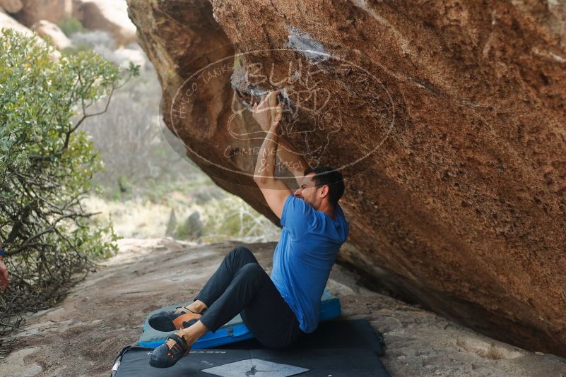 Bouldering in Hueco Tanks on 03/15/2020 with Blue Lizard Climbing and Yoga

Filename: SRM_20200315_1204010.jpg
Aperture: f/2.8
Shutter Speed: 1/500
Body: Canon EOS-1D Mark II
Lens: Canon EF 50mm f/1.8 II