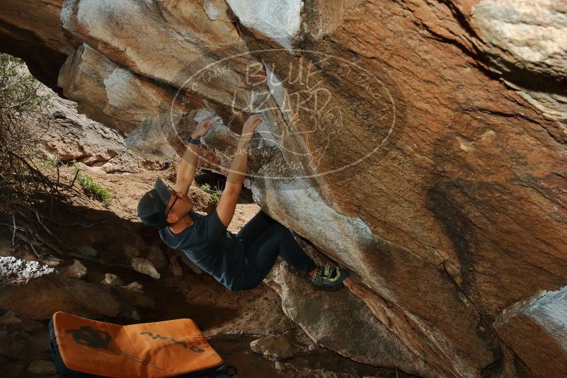 Bouldering in Hueco Tanks on 03/15/2020 with Blue Lizard Climbing and Yoga

Filename: SRM_20200315_1434120.jpg
Aperture: f/8.0
Shutter Speed: 1/250
Body: Canon EOS-1D Mark II
Lens: Canon EF 16-35mm f/2.8 L