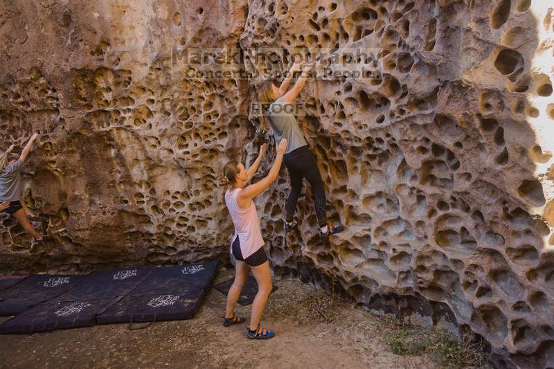 Bouldering in Hueco Tanks on 10/19/2021 with Blue Lizard Climbing and Yoga

Filename: SRM_20211019_1210180.jpg
Aperture: f/4.0
Shutter Speed: 1/250
Body: Canon EOS-1D Mark II
Lens: Canon EF 16-35mm f/2.8 L