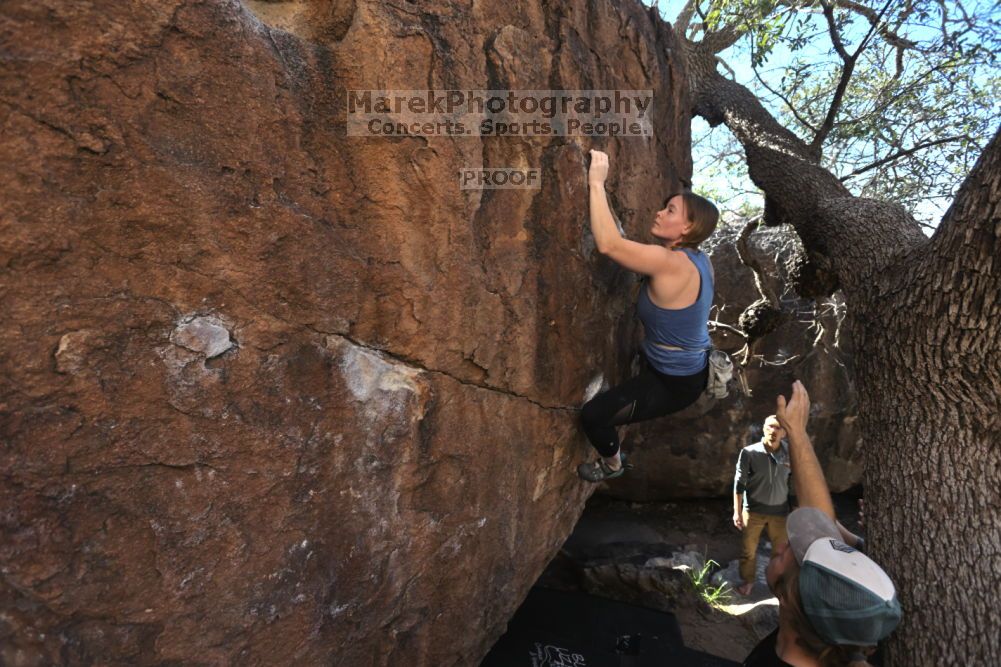 

Filename: SRM_20211114_1012130.jpg
Aperture: f/5.0
Shutter Speed: 1/500
Body: Canon EOS R6
Lens: Canon EF 16-35mm f/2.8 L