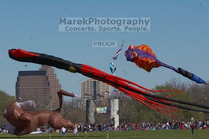 79th annual Zilker Park Kite Festival, Sunday, March 4, 2007.

Filename: SRM_20070304_1519407.jpg
Aperture: f/11.0
Shutter Speed: 1/500
Body: Canon EOS 20D
Lens: Canon EF 80-200mm f/2.8 L