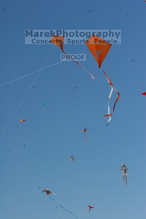 UT kites at the 79th annual Zilker Park Kite Festival, Sunday, March 4, 2007.

Filename: SRM_20070304_1541284.jpg
Aperture: f/16.0
Shutter Speed: 1/500
Body: Canon EOS 20D
Lens: Canon EF 80-200mm f/2.8 L