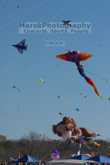 79th annual Zilker Park Kite Festival, Sunday, March 4, 2007.

Filename: SRM_20070304_1542002.jpg
Aperture: f/16.0
Shutter Speed: 1/500
Body: Canon EOS 20D
Lens: Canon EF 80-200mm f/2.8 L