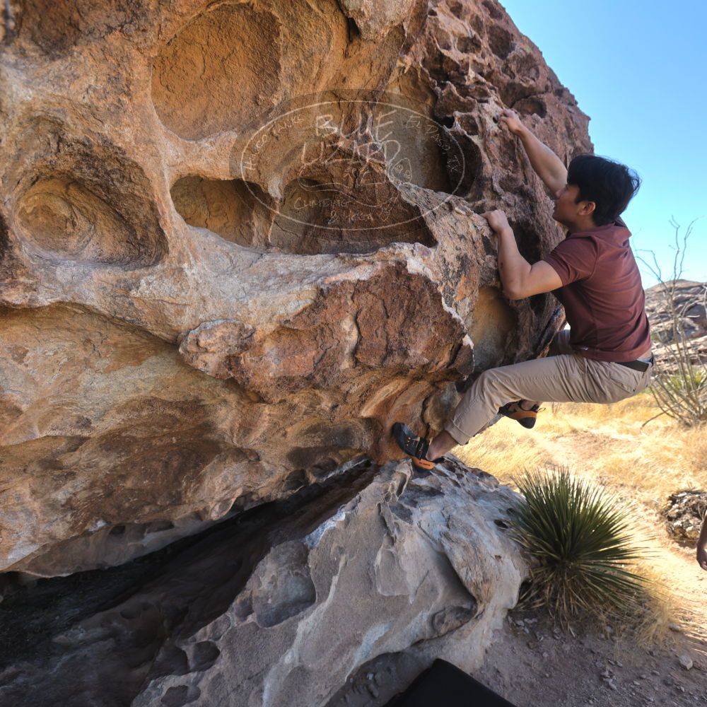 

Filename: SRM_20220226_1018350.jpg
Aperture: f/5.0
Shutter Speed: 1/250
Body: Canon EOS R6
Lens: Canon EF 16-35mm f/2.8 L