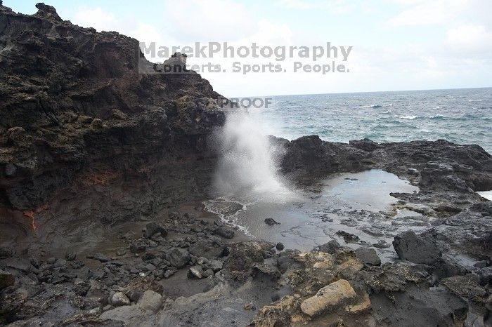 Hike to the Nakalele blowholes along the surf-beaten lava formations.

Filename: SRM_20071219_1342284.jpg
Aperture: f/10.0
Shutter Speed: 1/1250
Body: Canon EOS-1D Mark II
Lens: Sigma 15-30mm f/3.5-4.5 EX Aspherical DG DF