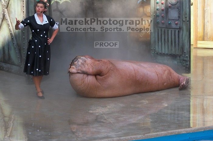 Uncle Max the walrus does situps in "The Cannery Row Caper" show at Sea World, San Antonio.

Filename: SRM_20060423_162448_5.jpg
Aperture: f/7.1
Shutter Speed: 1/320
Body: Canon EOS 20D
Lens: Canon EF 80-200mm f/2.8 L