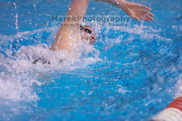 UT junior Michael Klueh won the 1000 yard freestyle with a time of 9:01.89.  The University of Texas Longhorns defeated The University of Georgia Bulldogs 157-135 on Saturday, January 12, 2008.

Filename: SRM_20080112_1110084.jpg
Aperture: f/2.8
Shutter Speed: 1/400
Body: Canon EOS-1D Mark II
Lens: Canon EF 300mm f/2.8 L IS