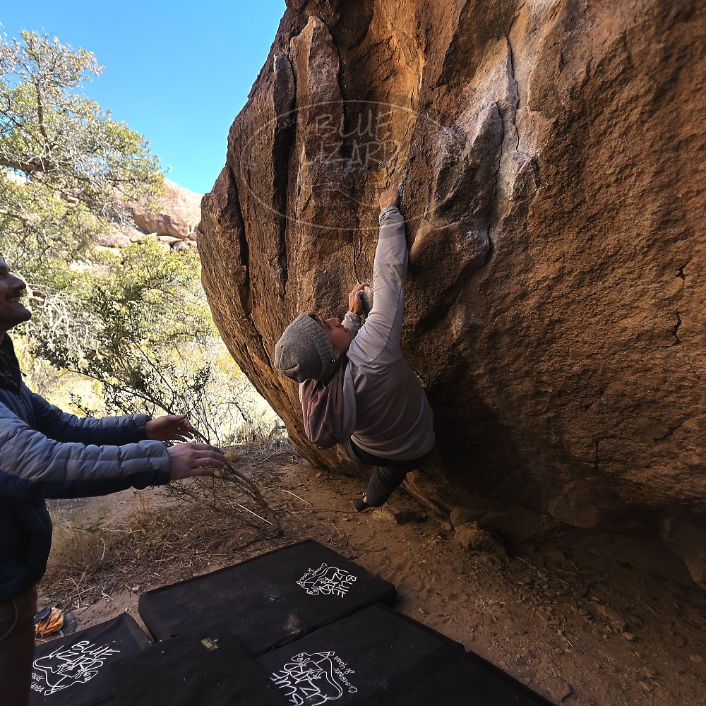 

Filename: SRM_20231210_1248220.jpg
Aperture: f/2.8
Shutter Speed: 1/1600
Body: Canon EOS R6
Lens: Canon EF 16-35mm f/2.8 L