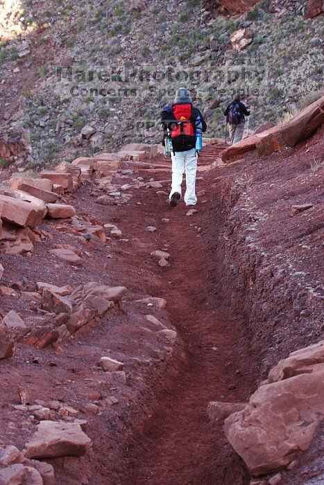 Beth Marek hiking down the South Kaibab trail, backpacking the Grand Canyon with Beth, Thursday, January 1, 2009.

Filename: SRM_20090101_15413290.jpg
Aperture: f/11.0
Shutter Speed: 1/50
Body: Canon EOS-1D Mark II
Lens: Canon EF 100-400mm f/4.5-5.6 L IS USM