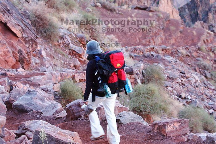 Beth Marek hiking down the South Kaibab trail, backpacking the Grand Canyon with Beth, Thursday, January 1, 2009.

Filename: SRM_20090101_15532995.jpg
Aperture: f/8.0
Shutter Speed: 1/80
Body: Canon EOS-1D Mark II
Lens: Canon EF 100-400mm f/4.5-5.6 L IS USM