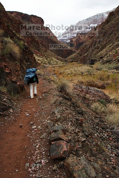 Hiking up the Bright Angel trail from Bright Angel campground to Indian Garden campground, while backpacking the Grand Canyon with Beth, Saturday, January 3, 2009.

Filename: SRM_20090103_11205146.JPG
Aperture: f/11.0
Shutter Speed: 1/20
Body: Canon EOS-1D Mark II
Lens: Canon EF 16-35mm f/2.8 L