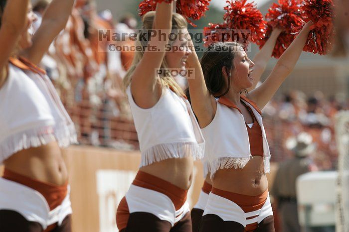 Texas Pom.  The University of Texas football team defeated the Arkansas Razorbacks with a score of 52-10 in Austin, TX on Saturday, September 27, 2008.

Filename: SRM_20080927_15374858.jpg
Aperture: f/5.6
Shutter Speed: 1/1600
Body: Canon EOS-1D Mark II
Lens: Canon EF 300mm f/2.8 L IS