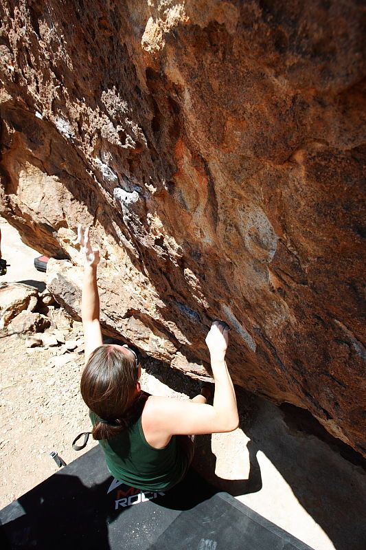 Beth Marek rock climbing in Hueco Tanks State Park and Historic Site during the Hueco Tanks Awesome Fest 2010 trip, Saturday, May 22, 2010.

Filename: SRM_20100522_12252343.JPG
Aperture: f/8.0
Shutter Speed: 1/320
Body: Canon EOS-1D Mark II
Lens: Canon EF 16-35mm f/2.8 L