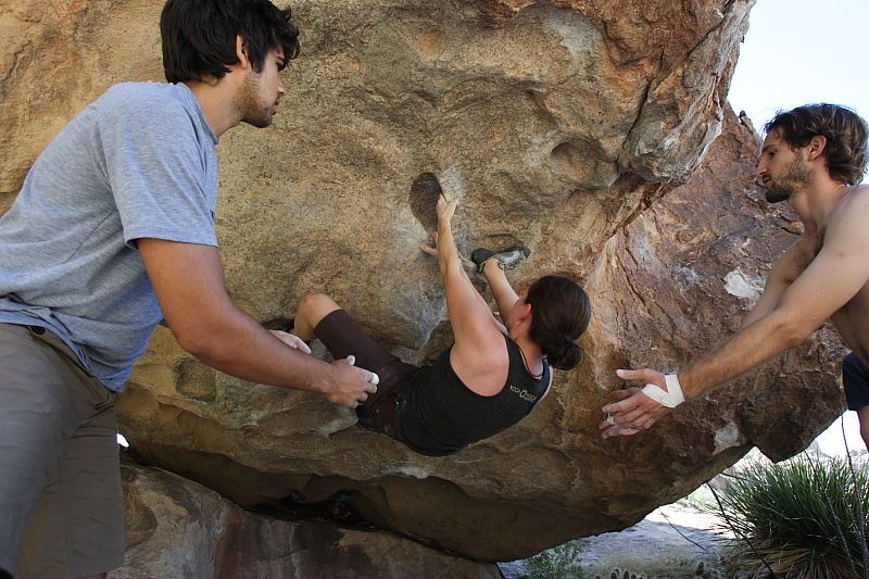 Beth Marek rock climbing on No One Gets Out of Here Alive (V2) in Hueco Tanks State Park and Historic Site during the Hueco Tanks Awesome Fest 2010 trip, Sunday, May 23, 2010.

Filename: SRM_20100523_10542865.JPG
Aperture: f/5.6
Shutter Speed: 1/320
Body: Canon EOS-1D Mark II
Lens: Canon EF 16-35mm f/2.8 L