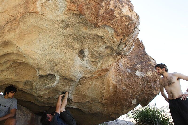 Raanan Robertson rock climbing on No One Gets Out of Here Alive (V2) in Hueco Tanks State Park and Historic Site during the Hueco Tanks Awesome Fest 2010 trip, Sunday, May 23, 2010.

Filename: SRM_20100523_10564075.JPG
Aperture: f/5.6
Shutter Speed: 1/640
Body: Canon EOS-1D Mark II
Lens: Canon EF 16-35mm f/2.8 L