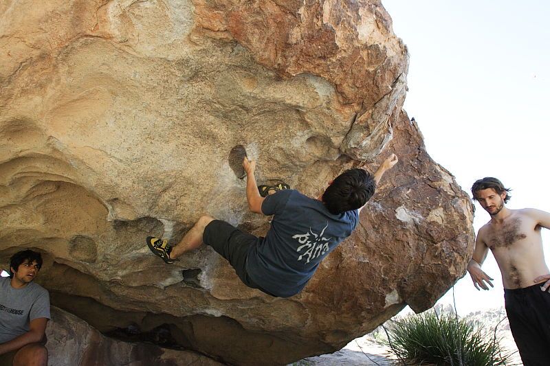 Raanan Robertson rock climbing on No One Gets Out of Here Alive (V2) in Hueco Tanks State Park and Historic Site during the Hueco Tanks Awesome Fest 2010 trip, Sunday, May 23, 2010.

Filename: SRM_20100523_10565594.JPG
Aperture: f/5.6
Shutter Speed: 1/640
Body: Canon EOS-1D Mark II
Lens: Canon EF 16-35mm f/2.8 L