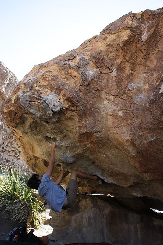 Cayce Wilson rock climbing on No One Gets Out of Here Alive (V2) in Hueco Tanks State Park and Historic Site during the Hueco Tanks Awesome Fest 2010 trip, Sunday, May 23, 2010.

Filename: SRM_20100523_11033629.JPG
Aperture: f/5.6
Shutter Speed: 1/500
Body: Canon EOS-1D Mark II
Lens: Canon EF 16-35mm f/2.8 L