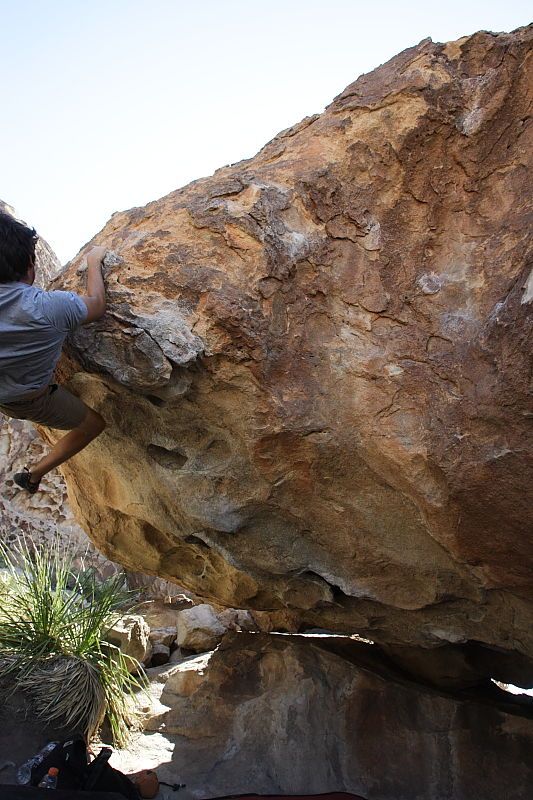 Cayce Wilson rock climbing on No One Gets Out of Here Alive (V2) in Hueco Tanks State Park and Historic Site during the Hueco Tanks Awesome Fest 2010 trip, Sunday, May 23, 2010.
Filename: SRM_20100523_11035644.JPG
Aperture: f/5.6
Shutter Speed: 1/500
Body: Canon EOS-1D Mark II
Lens: Canon EF 16-35mm f/2.8 L