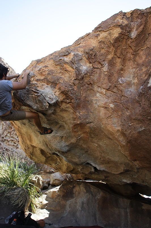 Cayce Wilson rock climbing on No One Gets Out of Here Alive (V2) in Hueco Tanks State Park and Historic Site during the Hueco Tanks Awesome Fest 2010 trip, Sunday, May 23, 2010.

Filename: SRM_20100523_11035945.JPG
Aperture: f/5.6
Shutter Speed: 1/500
Body: Canon EOS-1D Mark II
Lens: Canon EF 16-35mm f/2.8 L