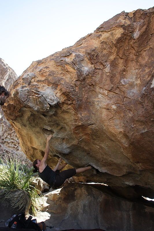 Beth Marek rock climbing on No One Gets Out of Here Alive (V2) in Hueco Tanks State Park and Historic Site during the Hueco Tanks Awesome Fest 2010 trip, Sunday, May 23, 2010.

Filename: SRM_20100523_11062271.JPG
Aperture: f/5.6
Shutter Speed: 1/500
Body: Canon EOS-1D Mark II
Lens: Canon EF 16-35mm f/2.8 L