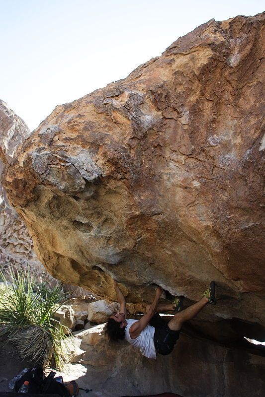 Javier Morales rock climbing on No One Gets Out of Here Alive (V2) in Hueco Tanks State Park and Historic Site during the Hueco Tanks Awesome Fest 2010 trip, Sunday, May 23, 2010.

Filename: SRM_20100523_11073487.JPG
Aperture: f/5.6
Shutter Speed: 1/500
Body: Canon EOS-1D Mark II
Lens: Canon EF 16-35mm f/2.8 L