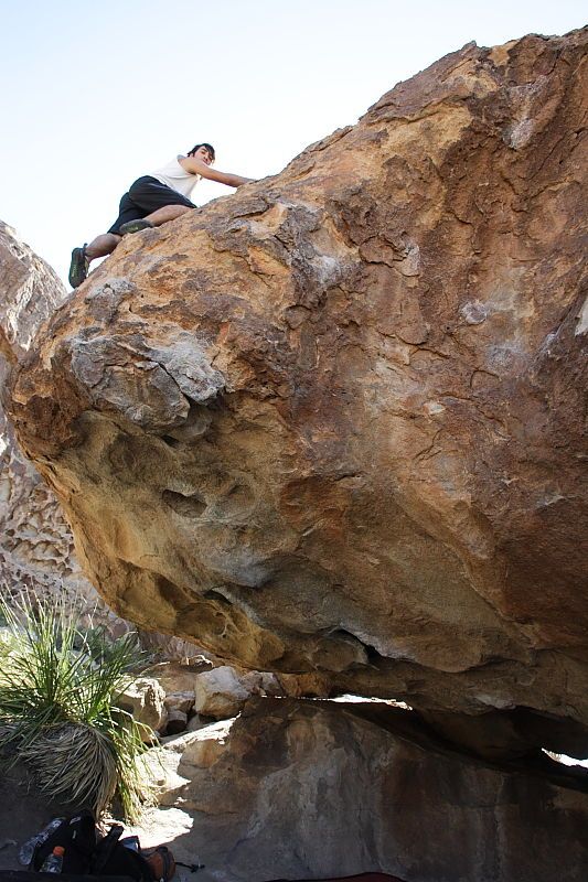 Javier Morales rock climbing on No One Gets Out of Here Alive (V2) in Hueco Tanks State Park and Historic Site during the Hueco Tanks Awesome Fest 2010 trip, Sunday, May 23, 2010.

Filename: SRM_20100523_11082507.JPG
Aperture: f/5.6
Shutter Speed: 1/500
Body: Canon EOS-1D Mark II
Lens: Canon EF 16-35mm f/2.8 L