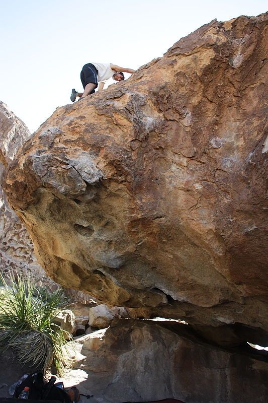 Javier Morales rock climbing on No One Gets Out of Here Alive (V2) in Hueco Tanks State Park and Historic Site during the Hueco Tanks Awesome Fest 2010 trip, Sunday, May 23, 2010.

Filename: SRM_20100523_11083308.JPG
Aperture: f/5.6
Shutter Speed: 1/500
Body: Canon EOS-1D Mark II
Lens: Canon EF 16-35mm f/2.8 L