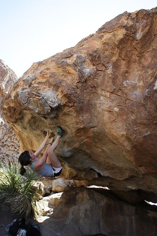 Sarah Williams rock climbing on No One Gets Out of Here Alive (V2) in Hueco Tanks State Park and Historic Site during the Hueco Tanks Awesome Fest 2010 trip, Sunday, May 23, 2010.

Filename: SRM_20100523_11241702.JPG
Aperture: f/5.6
Shutter Speed: 1/500
Body: Canon EOS-1D Mark II
Lens: Canon EF 16-35mm f/2.8 L