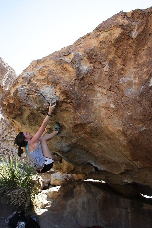 Sarah Williams rock climbing on No One Gets Out of Here Alive (V2) in Hueco Tanks State Park and Historic Site during the Hueco Tanks Awesome Fest 2010 trip, Sunday, May 23, 2010.

Filename: SRM_20100523_11241905.JPG
Aperture: f/5.6
Shutter Speed: 1/500
Body: Canon EOS-1D Mark II
Lens: Canon EF 16-35mm f/2.8 L