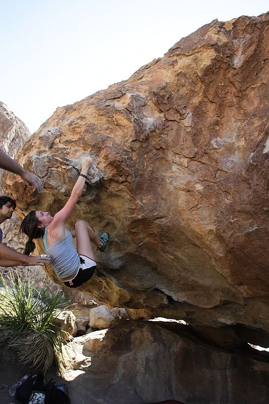 Sarah Williams rock climbing on No One Gets Out of Here Alive (V2) in Hueco Tanks State Park and Historic Site during the Hueco Tanks Awesome Fest 2010 trip, Sunday, May 23, 2010.

Filename: SRM_20100523_11242507.JPG
Aperture: f/5.6
Shutter Speed: 1/500
Body: Canon EOS-1D Mark II
Lens: Canon EF 16-35mm f/2.8 L