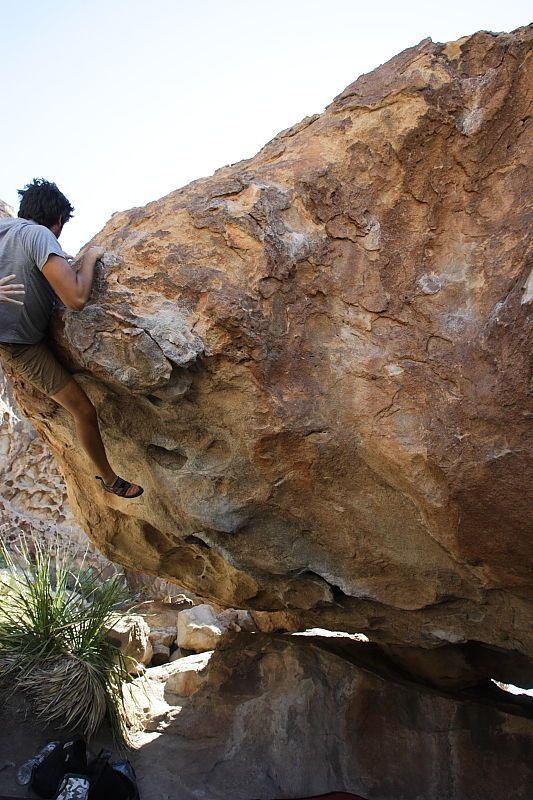 Cayce Wilson rock climbing on No One Gets Out of Here Alive (V2) in Hueco Tanks State Park and Historic Site during the Hueco Tanks Awesome Fest 2010 trip, Sunday, May 23, 2010.

Filename: SRM_20100523_11295539.JPG
Aperture: f/5.6
Shutter Speed: 1/500
Body: Canon EOS-1D Mark II
Lens: Canon EF 16-35mm f/2.8 L