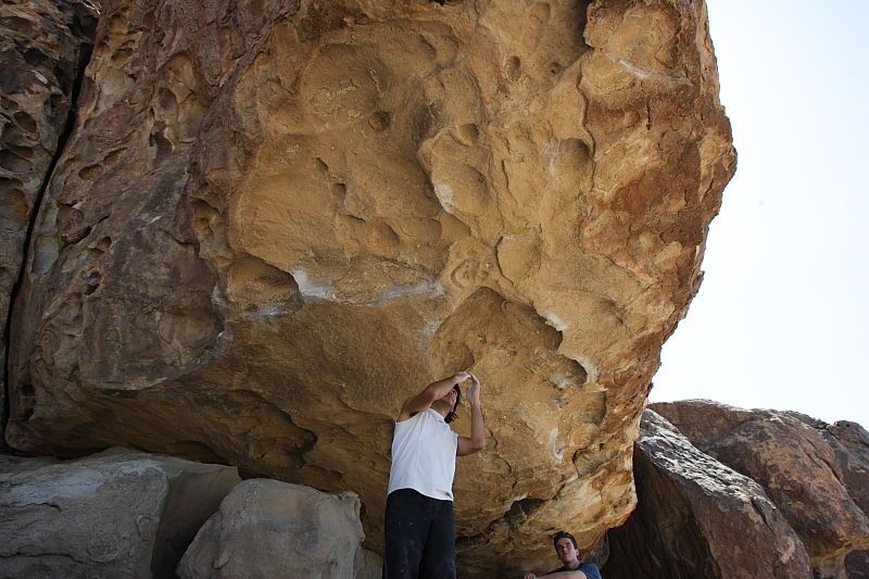 Javier Morales rock climbing in Hueco Tanks State Park and Historic Site during the Hueco Tanks Awesome Fest 2010 trip, Sunday, May 23, 2010.

Filename: SRM_20100523_11513459.JPG
Aperture: f/8.0
Shutter Speed: 1/500
Body: Canon EOS-1D Mark II
Lens: Canon EF 16-35mm f/2.8 L