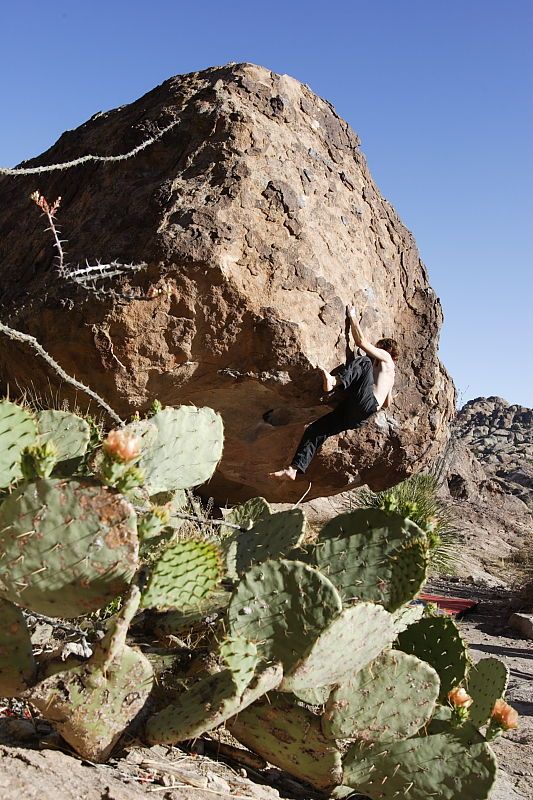 Andrew Dreher rock climbing on No One Gets Out of Here Alive (V2) in Hueco Tanks State Park and Historic Site during the Hueco Tanks Awesome Fest 2010 trip, Sunday, May 23, 2010.

Filename: SRM_20100523_18510420.JPG
Aperture: f/8.0
Shutter Speed: 1/800
Body: Canon EOS-1D Mark II
Lens: Canon EF 16-35mm f/2.8 L