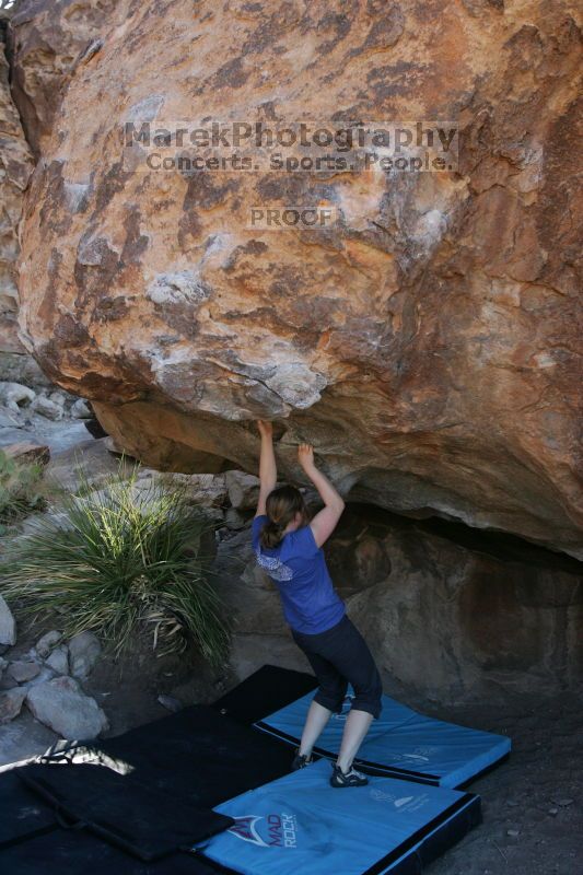 

Filename: SRM_20140528_1010450.JPG
Aperture: f/4.0
Shutter Speed: 1/800
Body: Canon EOS-1D Mark II
Lens: Canon EF 16-35mm f/2.8 L