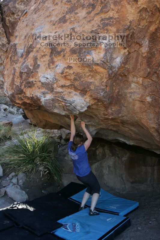 

Filename: SRM_20140528_1010451.JPG
Aperture: f/4.0
Shutter Speed: 1/800
Body: Canon EOS-1D Mark II
Lens: Canon EF 16-35mm f/2.8 L