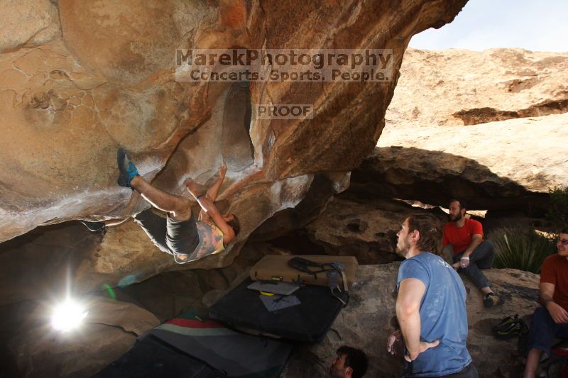 Bouldering in Hueco Tanks on %m/%d/%Y

Filename: SRM_20160219_1437200.jpg
Aperture: f/8.0
Shutter Speed: 1/250
Body: Canon EOS 20D
Lens: Canon EF 16-35mm f/2.8 L