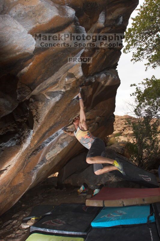 Bouldering in Hueco Tanks on %m/%d/%Y

Filename: SRM_20160219_1611010.jpg
Aperture: f/8.0
Shutter Speed: 1/250
Body: Canon EOS 20D
Lens: Canon EF 16-35mm f/2.8 L