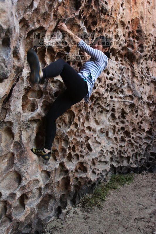 Bouldering in Hueco Tanks on 03/19/2016 with Blue Lizard Climbing and Yoga

Filename: SRM_20160319_1601250.jpg
Aperture: f/4.0
Shutter Speed: 1/60
Body: Canon EOS 20D
Lens: Canon EF 16-35mm f/2.8 L