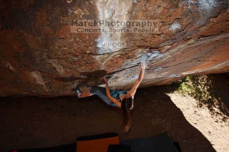 

Filename: SRM_20161120_1301450.jpg
Aperture: f/8.0
Shutter Speed: 1/250
Body: Canon EOS-1D Mark II
Lens: Canon EF 16-35mm f/2.8 L